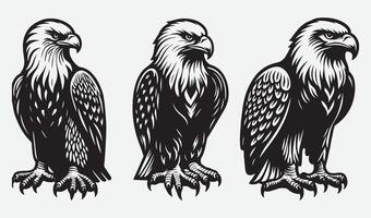 Dynamic Eagle Graphics for Eye-Catching Visuals vector