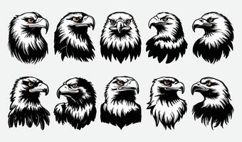 Professional Eagle Head Illustrations for Unique Branding and Graphic Projects vector
