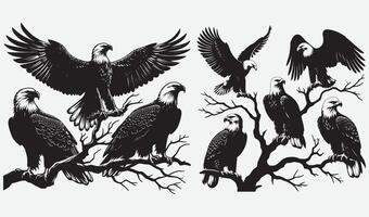 Striking Eagle Head Silhouettes for Nature-Inspired Graphic Design Projects vector