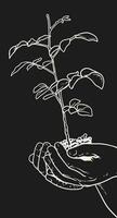 Hands gently hold a small plant, its green leaves fresh and branches fragile, symbolizing growth, agriculture, or the conservation of the environment vector