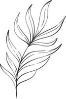 tropical palm leaf, summer botanic. Isolated. Decorative beauty elegant illustration for design, compositions. Black silhouette for circuit vector