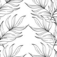 seamless pattern with tropical palm leaves, summer botanic. Isolated. Decorative beauty elegant illustration for design, compositions. Black silhouette for circuit vector