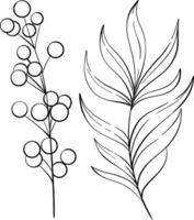 tropical palm leaves, summer botanical set. Decorative beauty elegant illustration for design, compositions. Black silhouette for circuit vector