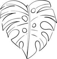 tropical monstera leaf, summer botanical art. Decorative beauty elegant illustration for design, compositions. Black silhouette for circuit vector