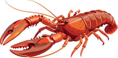 Red lobster spreading its claws on white background vector