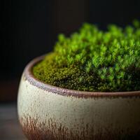 a portrait photo, focusing on living room and traditional spaces in Japandi-style homes, capturing the essence of traditional architecture. Japanese and Scandinavian photo