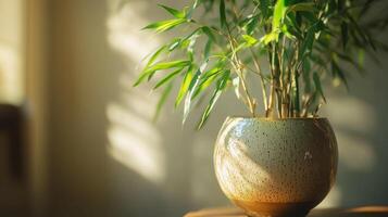 a portrait photo, focusing on living room and traditional spaces in Japandi-style homes, capturing the essence of traditional architecture. Japanese and Scandinavian photo