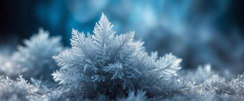 Beautiful crystals of hoarfrost close-up macro on a natural atmospheric blue background Winter snow background. photo