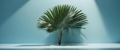 Blurred shadow from palm leaves on the light blue wall Minimal abstract background for product presentation Spring and summer. photo
