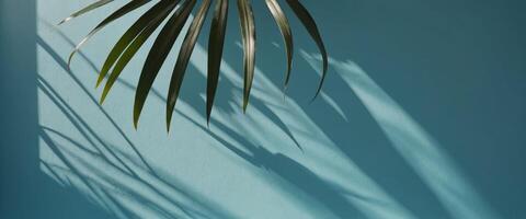 Blurred shadow from palm leaves on the light blue wall Minimal abstract background for product presentation Spring and summer. photo