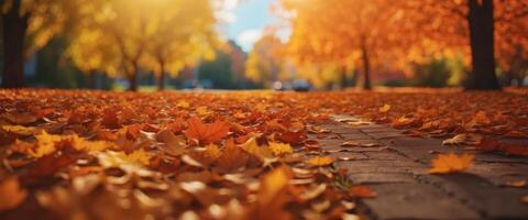 Colorful universal natural panoramic autumn background for design with orange leaves and blurred background. photo