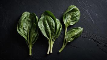 Freshly picked spinach on the black slate board, top view, Space for text Background for a recipe. photo