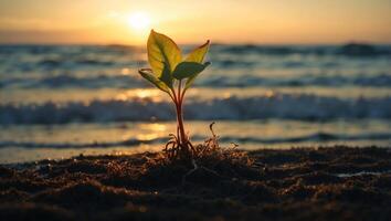 Lifes Emergence A Vibrant Seedling Sprouting from Soil in a Double Exposure Silhouette with Ocean Waves. photo