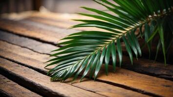 Palm leaf on wooden background Top view with copy space. photo