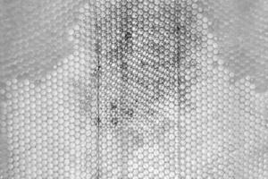 Drop of bee honey drip from hexagonal honeycombs filled with golden nectar photo