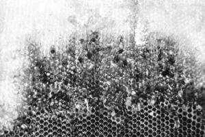 Drop of bee honey drip from hexagonal honeycombs filled with golden nectar photo