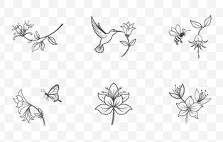 Print Honeysuckle Flower Line Art Set with Detailed Floral Illustrations in Elegant Black and White Design vector