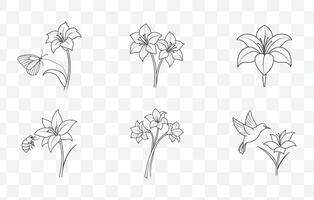Print Amaryllis Flower Detailed Line Art Set with Intricate Floral Design Illustrations for Elegant and Creative Use vector