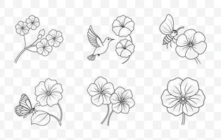 Print Nasturtium Flower Line Art Set with Detailed Floral Designs for Botanical Illustrations and Nature Inspired Artwork vector