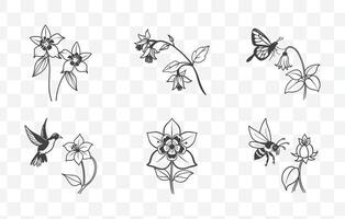 Print Columbine Flower Detailed Line Art Set for Botanical Illustrations and Floral Design Projects vector