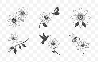 Print Passiflora Passion Flower Line Art Set Detailed Floral Illustrations of Passion Flowers for Design vector
