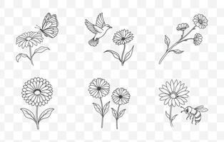 Print Calendula Flower Line Art Set for Digital and Print Design with Elegant and Detailed Illustrations vector