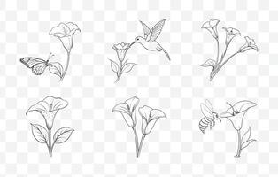 Print Elegant Calla Lily Flower Line Art Set for Graphic Design and Illustrations vector