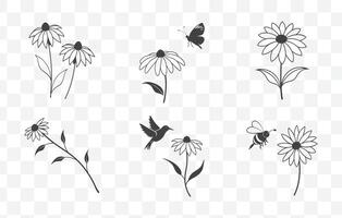 Print Rudbeckia Flower Botanical Line Art Set with Detailed Illustrations of Black Eyed Susan Blooms and Foliage vector