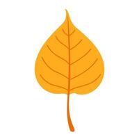Autumn linden leaf. Hand drawn trendy flat style isolated. autumn leaf, golden season illustration vector