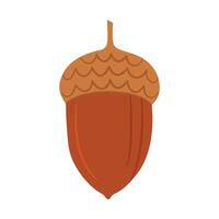 Acorn. Oak tree nut. Hand drawn trendy flat style isolated on white background illustration vector