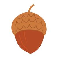 Acorn. Oak tree seed. Hand drawn trendy flat style isolated on white background vector