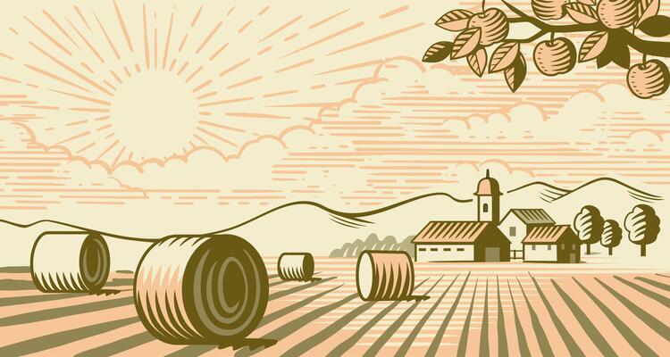 village with hay. Farming land summer