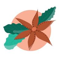 Christmas flower on a circle background, flower design vector