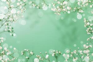 White gypsophila flowers on green background with bokeh effect and copy space photo
