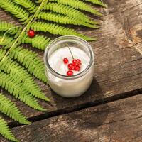 Vegan, no lactose yogurt with red currant and fern leave on a wooden table photo