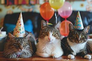 Three charming cats don party hats in a vibrant setting filled with colorful balloons, celebrating joyfully. photo