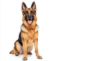 A cheerful German Shepherd sits with a friendly expression, showcasing its beautiful coat and attentive stance. photo