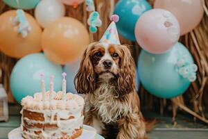 A fluffy dog in a party hat sits proudly beside a delicious cake adorned with candles, surrounded by vibrant balloons. photo