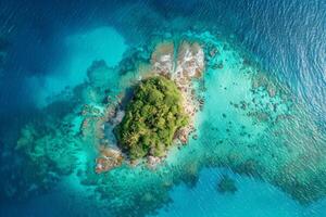 Aerial View of Tropical Island and Coral Reef photo