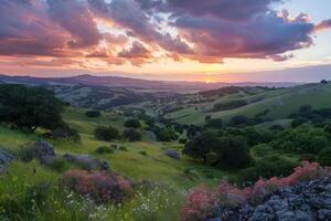 Sunset Over Flowering Hills and Distant Mountains photo