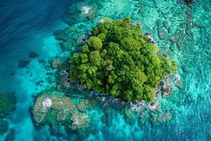 Aerial View of Tropical Island and Coral Reef photo