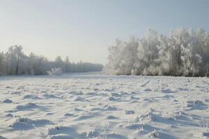 Winter Landscape with Snow-Covered Field and Trees photo