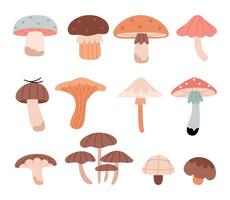 Set of cute forest mushrooms in pastel colors.Autumn forest plants. Fall season food, raw healthy natural fungi, stalks and caps of different types. vector