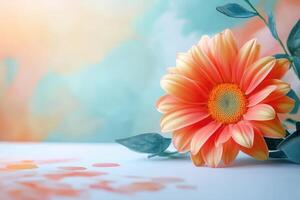 Close-up of a Single Pink Gerbera Daisy with Blurred Background photo