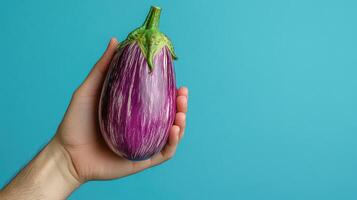 A Hand Holding a Striped Eggplant Against a Blue Background photo