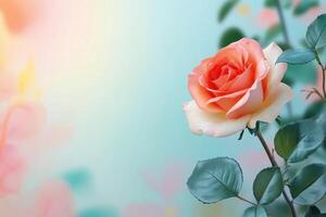 A Single Peach and White Rose with Green Leaves and a Soft Blurred Background photo