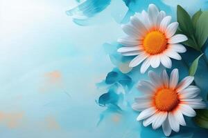 Two White Daisies with Orange Centers on a Blue and Peach Background photo