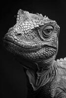 portrait studio photograph of iguanodon photo