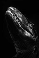 portrait studio photograph of kronosaurus photo