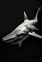 portrait studio photograph of hammerhead shark photo